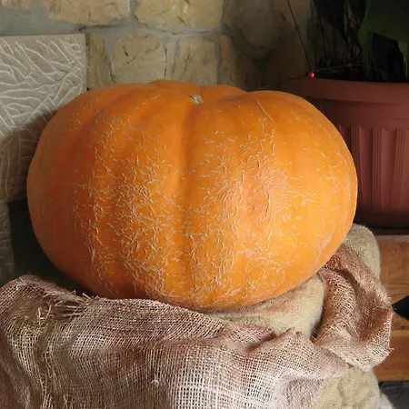 La Anjana 3* Puente Viesgo