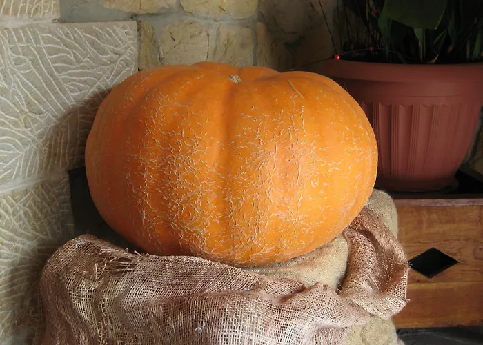 La Anjana 3* Puente Viesgo